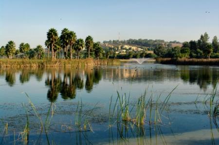 LAC