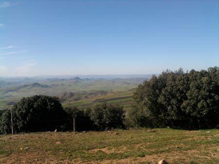 PANORAMA ITTO