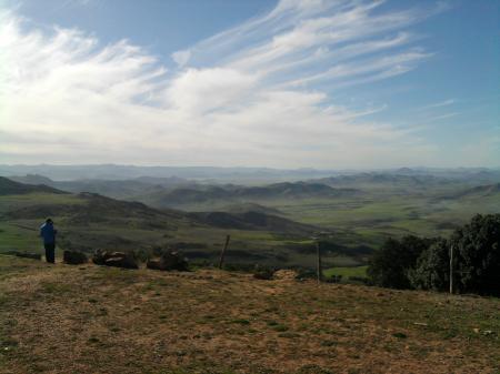 PANORAMA ITTO 3
