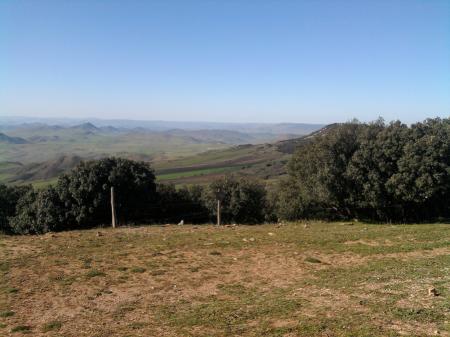 PANORAMA ITTO 2